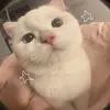 laylay - @clayoliver - TikTok