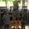 Clay Rogers - @user74531630 - TikTok