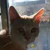 Clay Stanton - @clay.stanton - TikTok