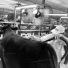 Clayton Stapleton859 - @claytonstapleton2 - TikTok
