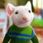 Stuart Newbould-Clay - @mr_stuart_claypole - Instagram