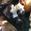 tyson - @tysonclay - TikTok