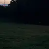 Clayton - @claytonb85 - TikTok