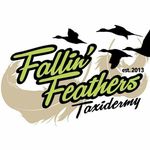 Clayton Bates - @fallinfeatherstaxidermy - Instagram