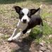 Clayton Bates - Facebook