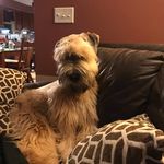 Clayton Becker - @claytonbecker8 - Instagram