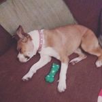 clayton michael becker - @cookies_and_milk_brutherr - Instagram