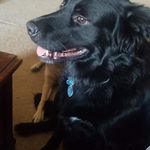 Clayton Berg - @claytonberg - Instagram