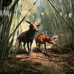 Clayton Bolding - @voteclaytonbolding - Instagram