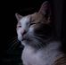 Clayton Bray - Facebook