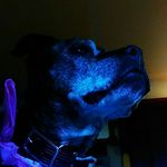 Clayton Bryan - @claytoris420 - Instagram