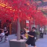 Clayton Lee - @clayton.chan - Instagram