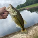 Clayton Daigle - @clayton_daigle123 - Instagram