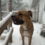 Clayton Drew - Facebook