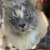Clayton Edwards - @clayton.edwards47 - TikTok