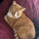 Clayton Eugene Hampton Junior - @claytonhamptonjunior - Instagram