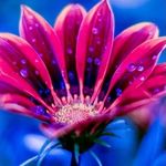 Clayton Hull - @seyedjawad69 - Instagram