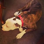 clayton hunter - @smarttarts33392 - Instagram