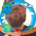 Clayton Jacques - Facebook