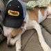 Clayton King - Facebook