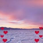 Clayton Layne - @clayton.layne.9659 - Instagram
