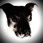 Andy Clayton Lindner - @drew.loco303 - Instagram