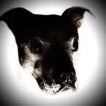 Andy Clayton Lindner - @dru_loco - Instagram