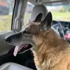 Clayton mason - @clayton.mason15 - TikTok