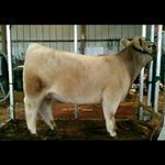 Clayton moore - @claytonmoore1828 - Instagram