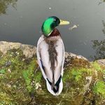Clayton Moore - @claytonmoore0707 - Instagram