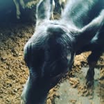 Clayton Patch - @patch.237 - Instagram