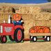 Clayton Valley Pumpkin Patch Farm - Facebook