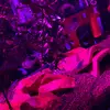 ぱにら - @patch.clayton - TikTok