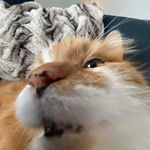 Clayton Small - @clayton_small - Instagram