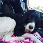 Clayton Springers - @claytonspringers - Instagram