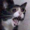 Claytonstales - @claytonstales - TikTok