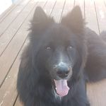 Clayton Steen - @clayton.steen - Instagram