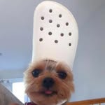 Clayton Storey - @clayton_storey3516 - Instagram