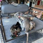 Clayton Sullivan - @claytonsullivan - Instagram