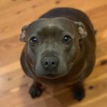 @claytonsutherland - Instagram