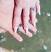 Clayton Sweeney - Facebook