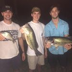 Clayton Talbot - @talbotclayton - Instagram