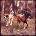 Clayton Vickers - Facebook