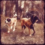 Clayton Vickers - @vickersclayton - Instagram