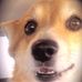 Clayton Vickers - Facebook