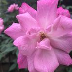Chianyi Clayton Wang - Facebook