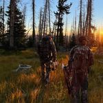 Clayton Weaver - @claytonw1913 - Instagram