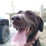 Clem Anderson - Facebook