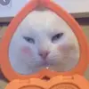 clementine🌙 - @clembrown_ - TikTok