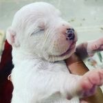 Clem Jones - @clem.ent3923 - Instagram